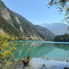comment-small-img