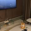comment-small-img
