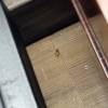 comment-small-img