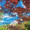 comment-small-img