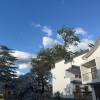 comment-small-img