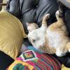 comment-small-img