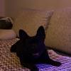 comment-small-img