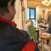 comment-small-img