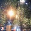 comment-small-img