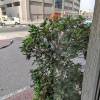 comment-small-img