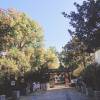 comment-small-img