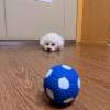 comment-small-img