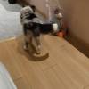 comment-small-img
