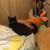 comment-small-img