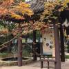 comment-small-img