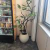 comment-small-img