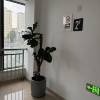 comment-small-img