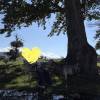 comment-small-img