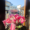 comment-small-img