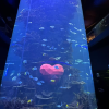 comment-small-img
