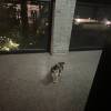comment-small-img