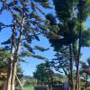 comment-small-img