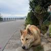 comment-small-img