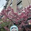 comment-small-img