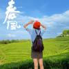 comment-small-img