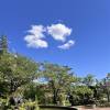 comment-small-img