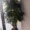 comment-small-img