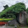 comment-small-img