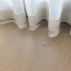 comment-small-img