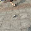 comment-small-img