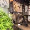 comment-small-img