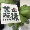 comment-small-img
