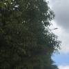 comment-small-img
