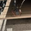 comment-small-img