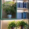 comment-small-img