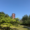 comment-small-img