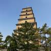 comment-small-img
