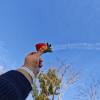 comment-small-img