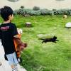 comment-small-img