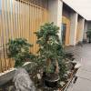 comment-small-img