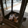 comment-small-img
