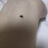 comment-small-img