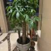 comment-small-img