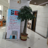 comment-small-img