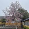 comment-small-img