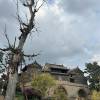 comment-small-img