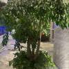comment-small-img
