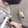comment-small-img