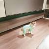 comment-small-img