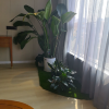 comment-small-img